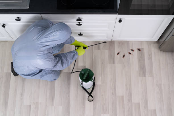 Why You Should Schedule Pest Control Huntsville AL Before Renovations